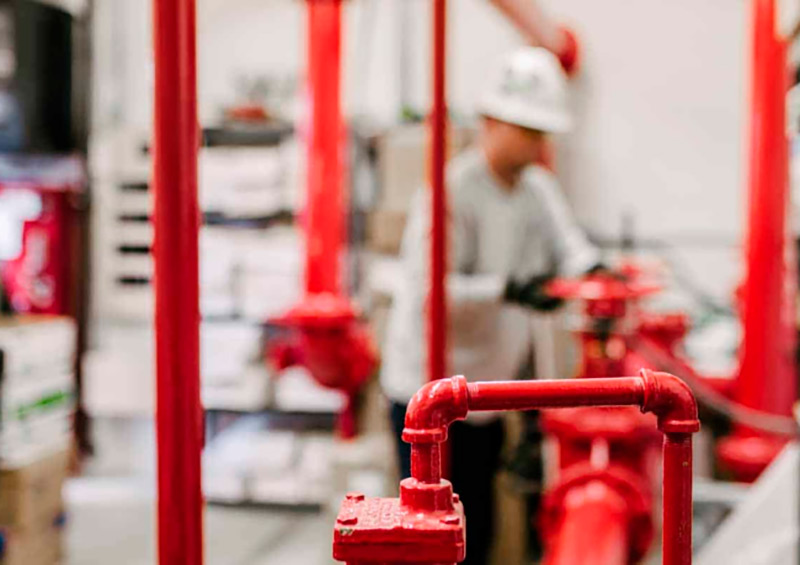 Sistemas de detección