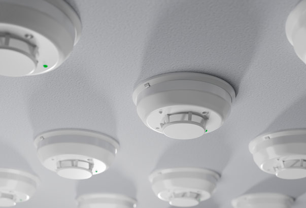 gal-comercializacion8