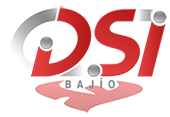 Logo DSI Bajío